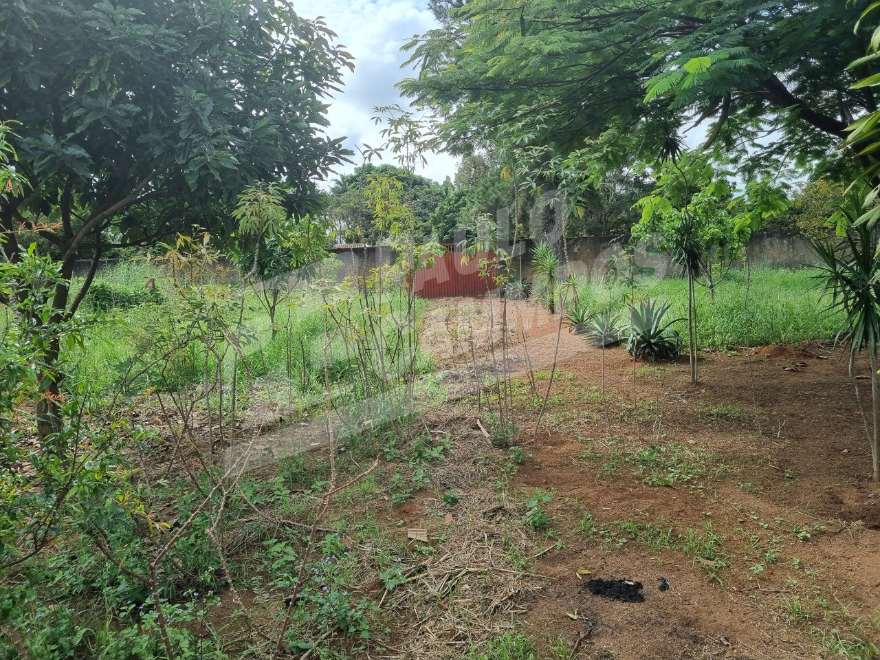Chácara à venda, 5000m² - Foto 20