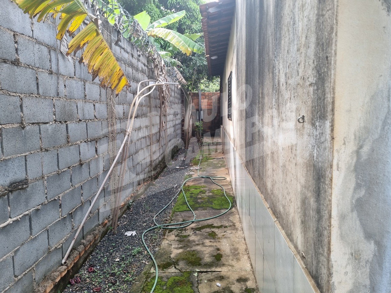 Chácara à venda, 5000m² - Foto 21