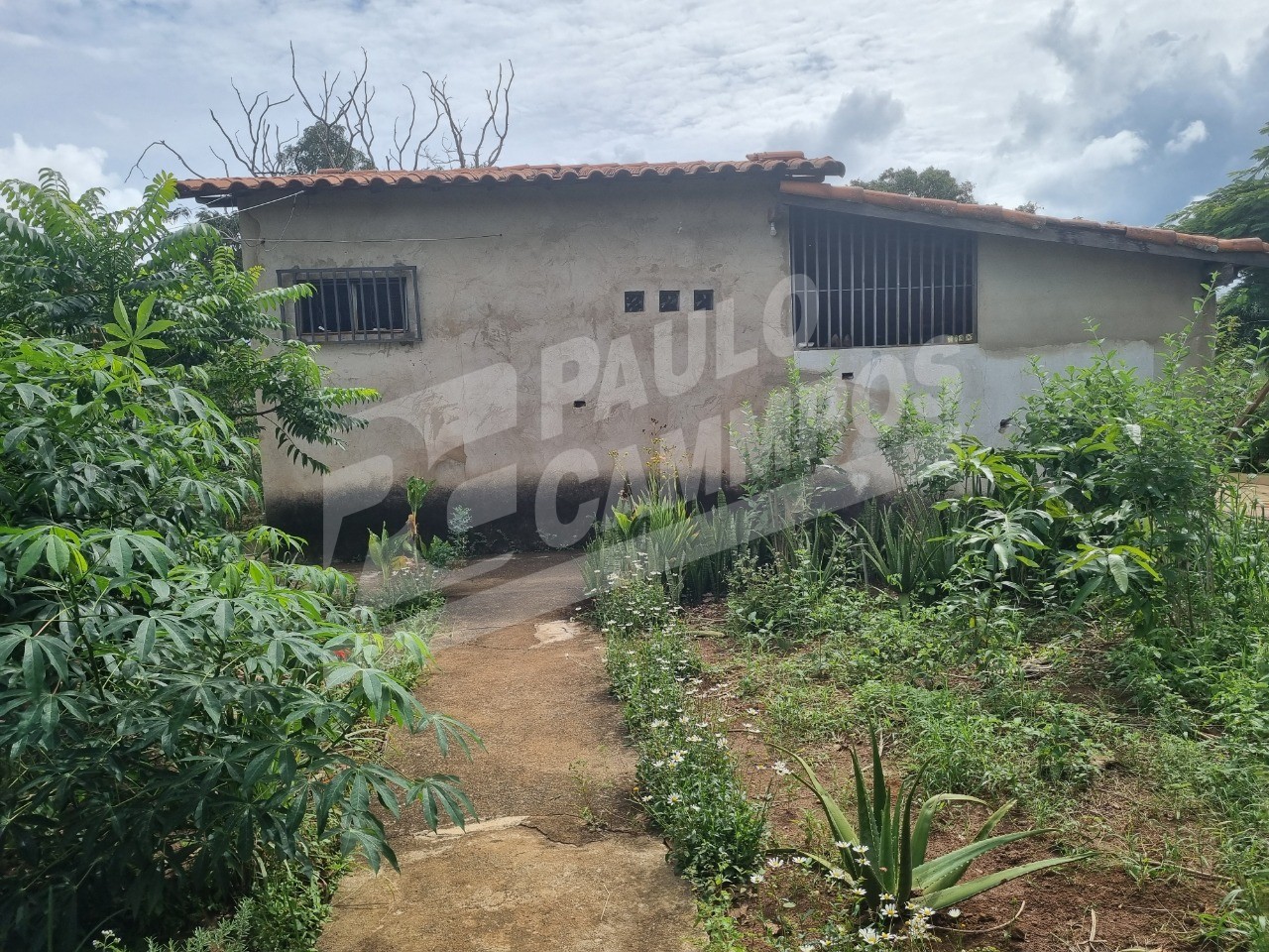 Chácara à venda, 5000m² - Foto 11