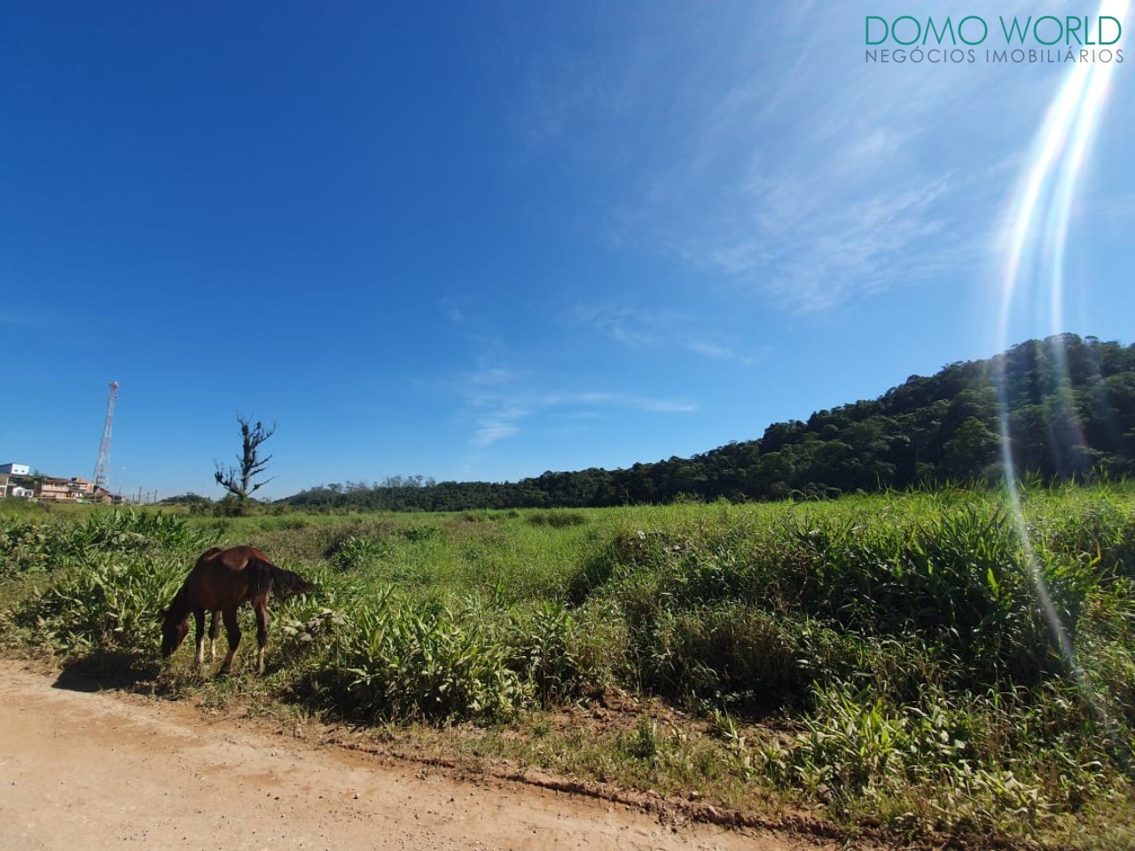 Loteamento e Condomínio à venda, 623000m² - Foto 3