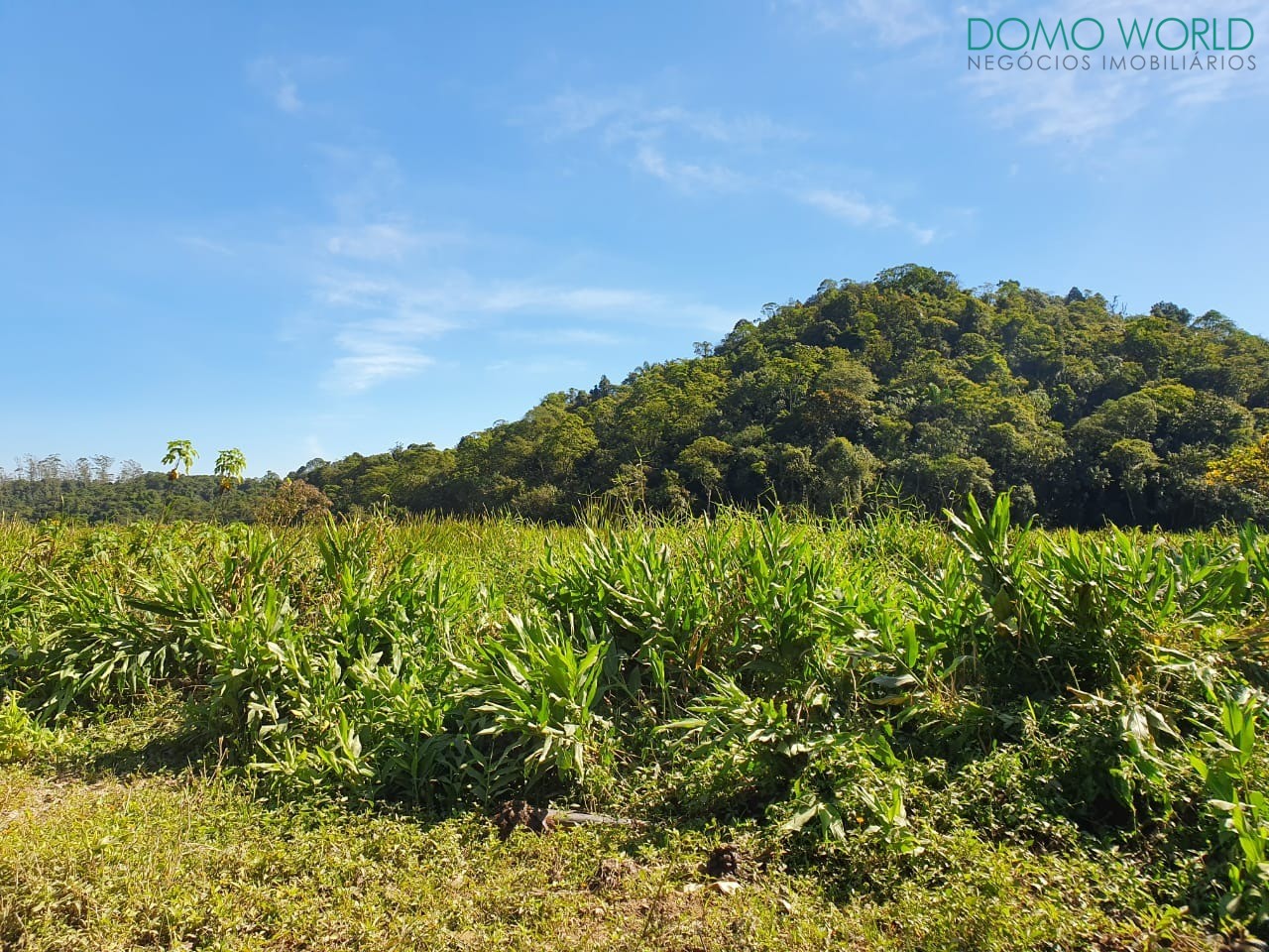 Loteamento e Condomínio à venda, 623000m² - Foto 1