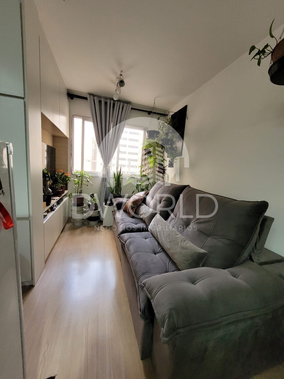 Apartamento à venda com 3 quartos, 55m² - Foto 1