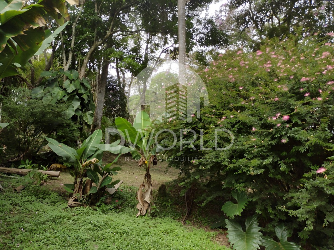 Fazenda à venda com 2 quartos, 150m² - Foto 15