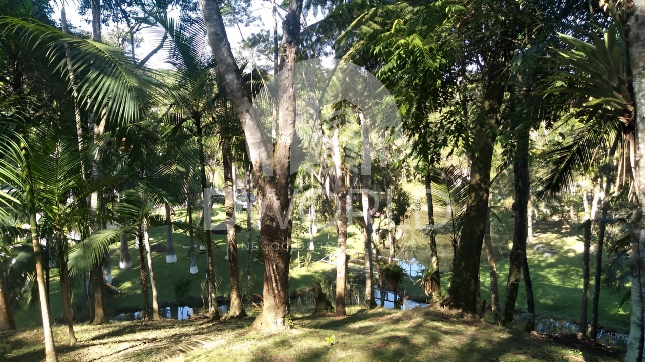 Fazenda à venda com 3 quartos, 160m² - Foto 5