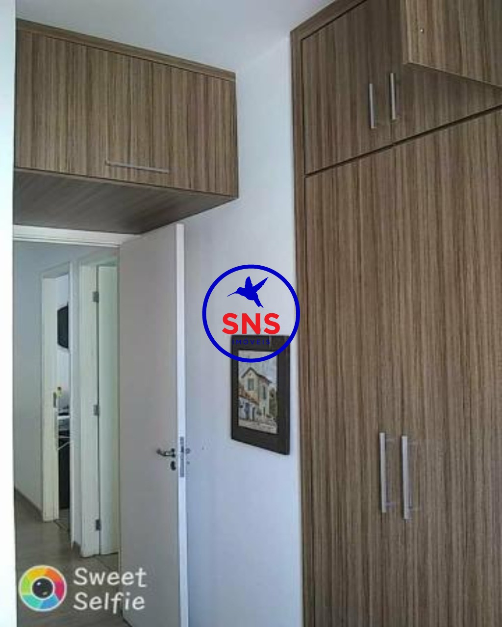 Apartamento à venda com 3 quartos, 65m² - Foto 6