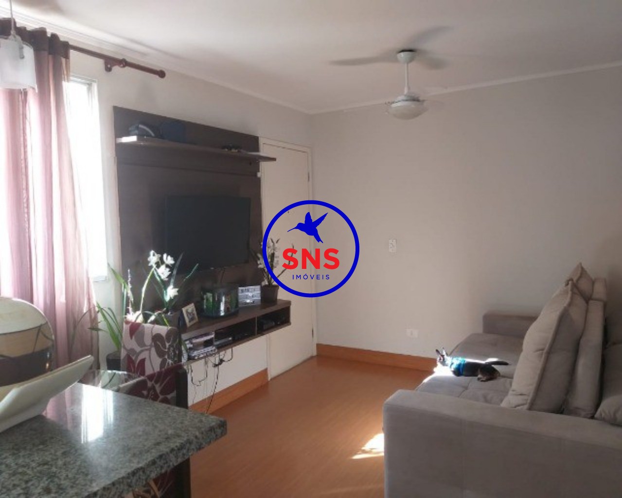 Apartamento à venda com 2 quartos, 45m² - Foto 1