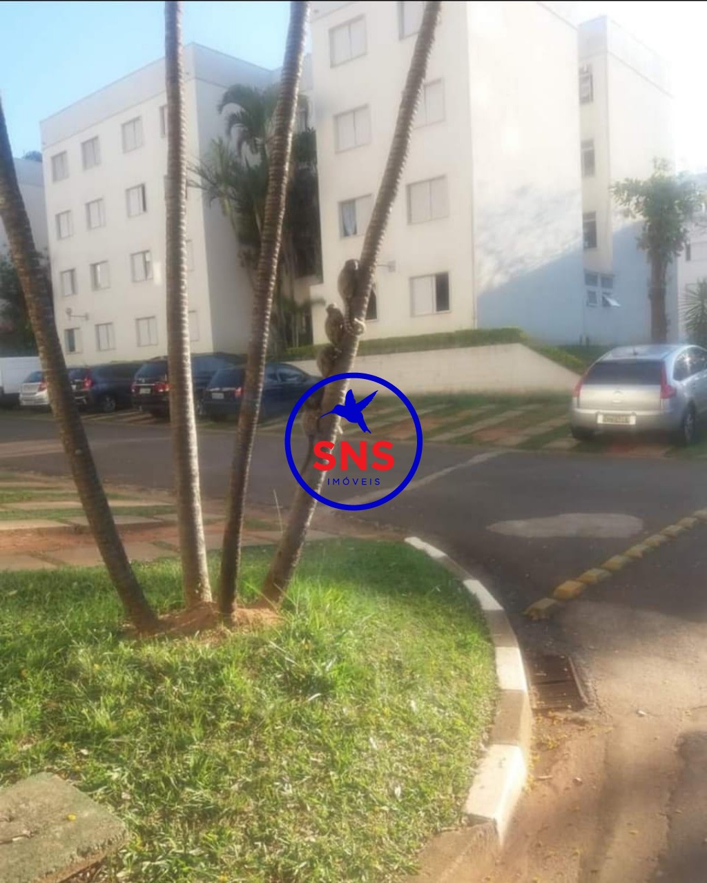 Apartamento à venda com 2 quartos, 48m² - Foto 12