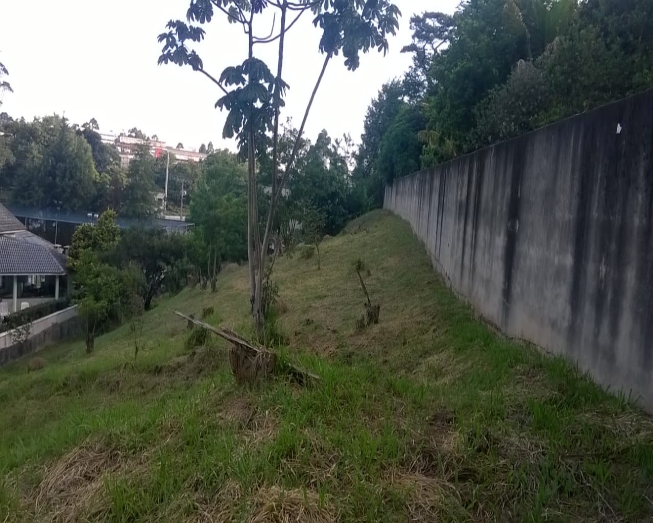 Terreno à venda, 2018m² - Foto 14