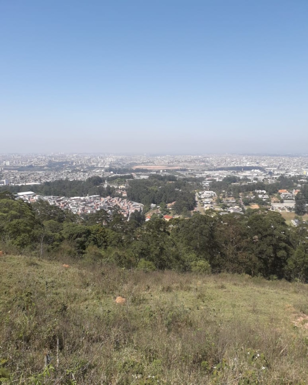 Casa de Condomínio à venda com 3 quartos, 1000m² - Foto 23