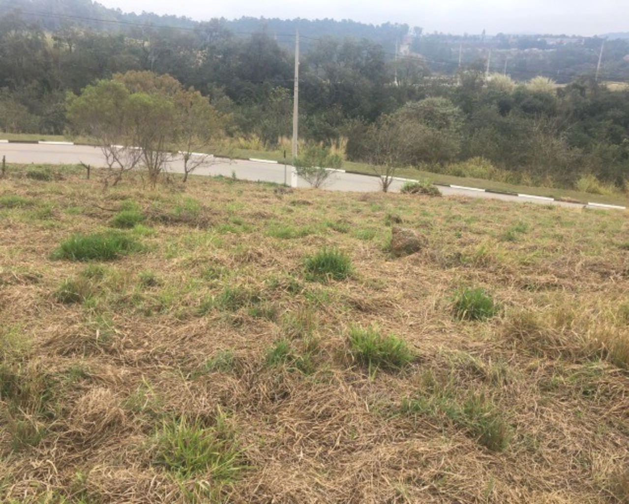 Terreno à venda, 752m² - Foto 2