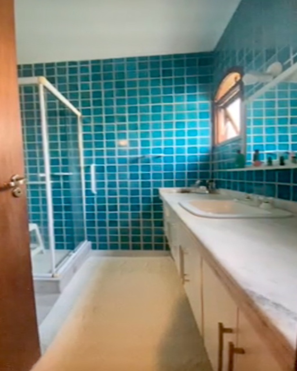 Casa, 4 quartos, 550 m² - Foto 53