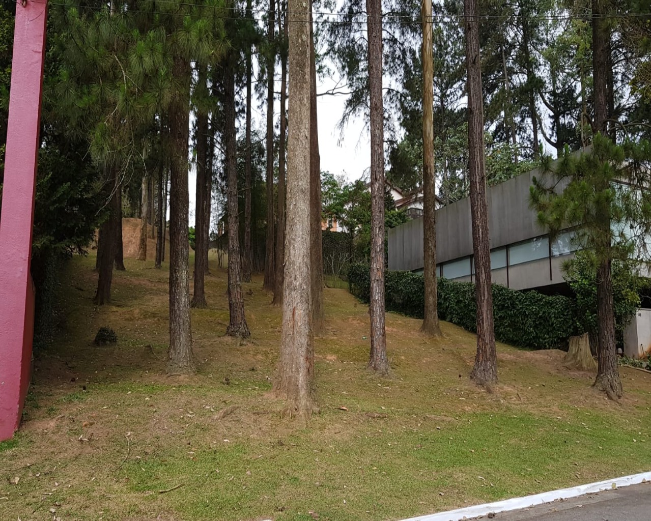 Terreno à venda, 800m² - Foto 1