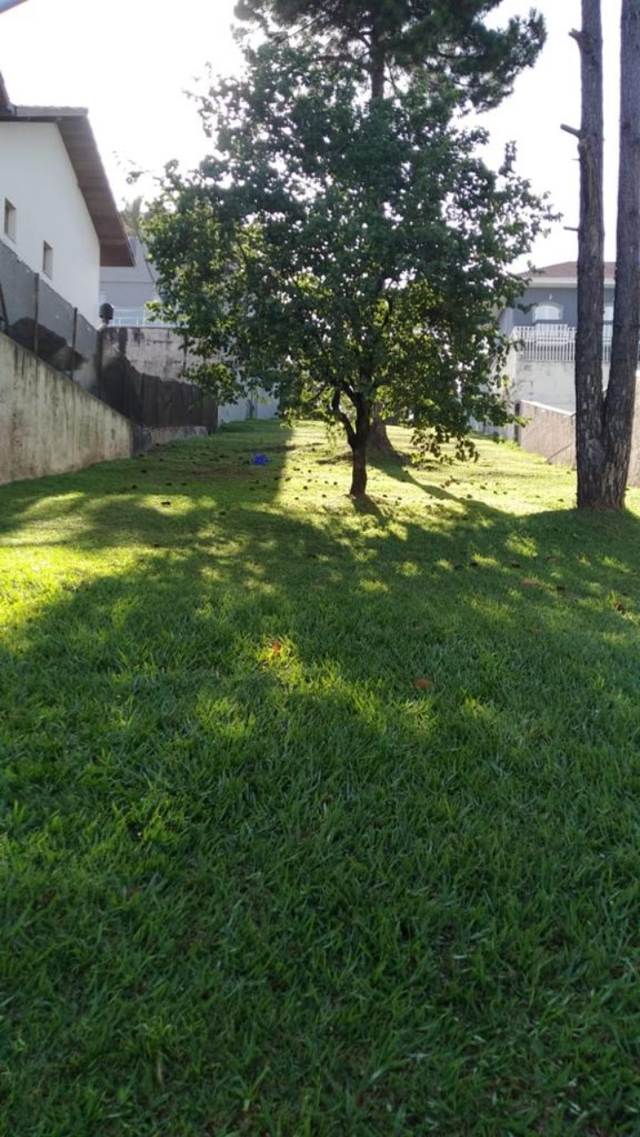 Terreno à venda, 360m² - Foto 2