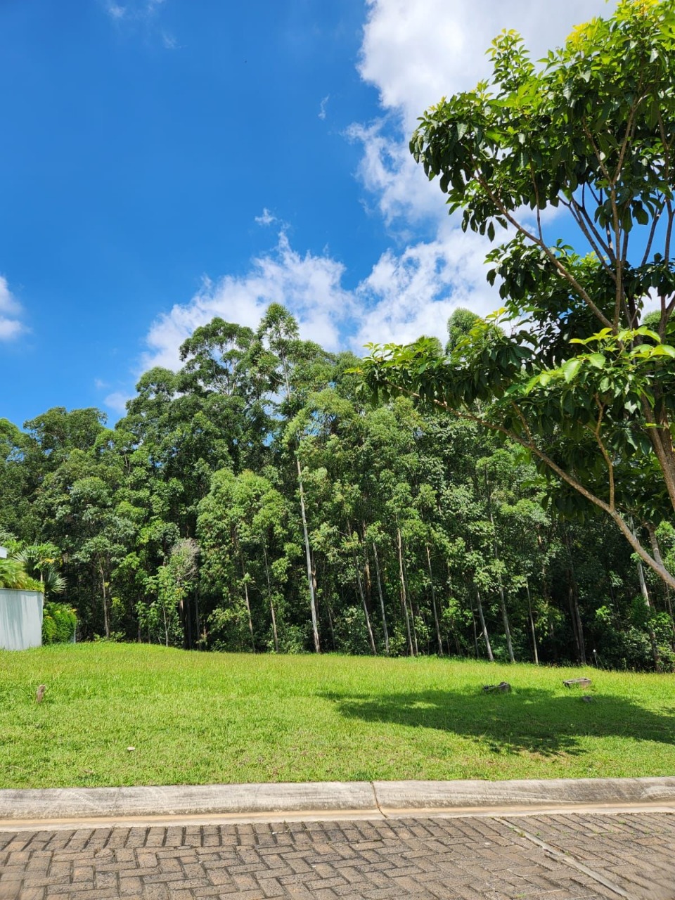 Terreno à venda, 1180m² - Foto 3