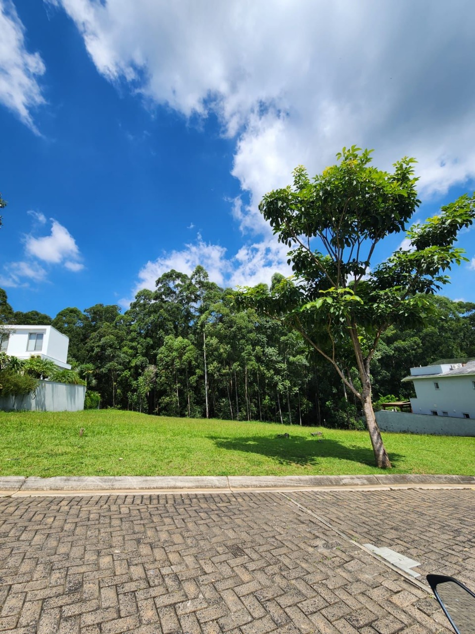 Terreno à venda, 1180m² - Foto 5