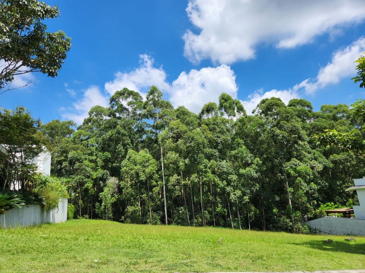 Terreno à venda, 1180m² - Foto 6