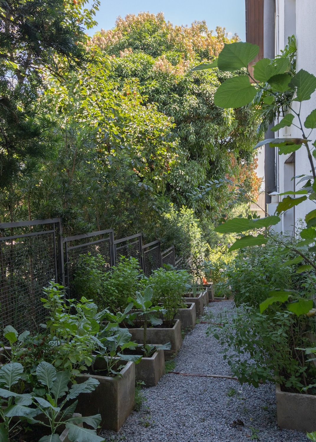 Casa de Condomínio à venda com 6 quartos, 600m² - Foto 16