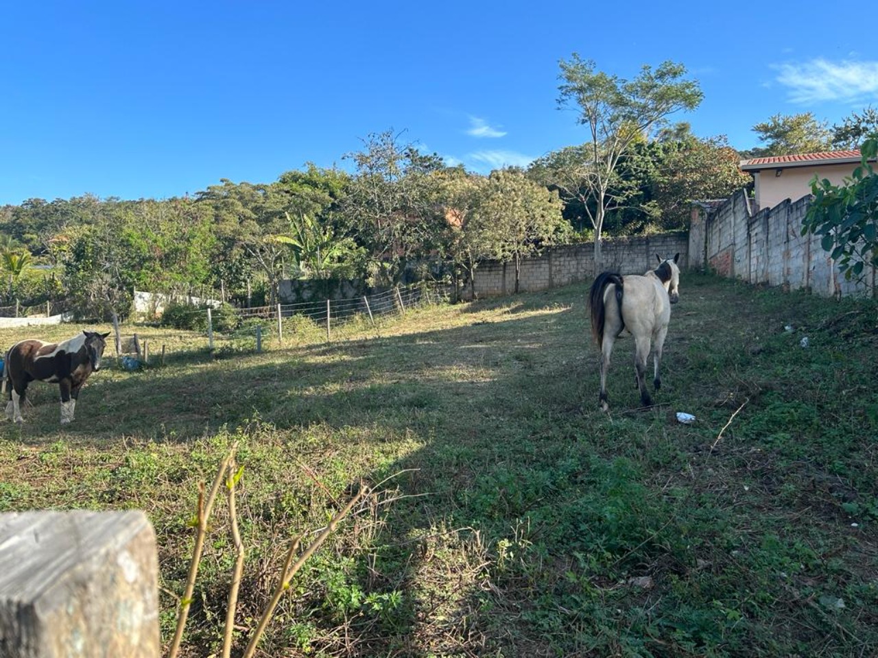 Terreno à venda - Foto 2