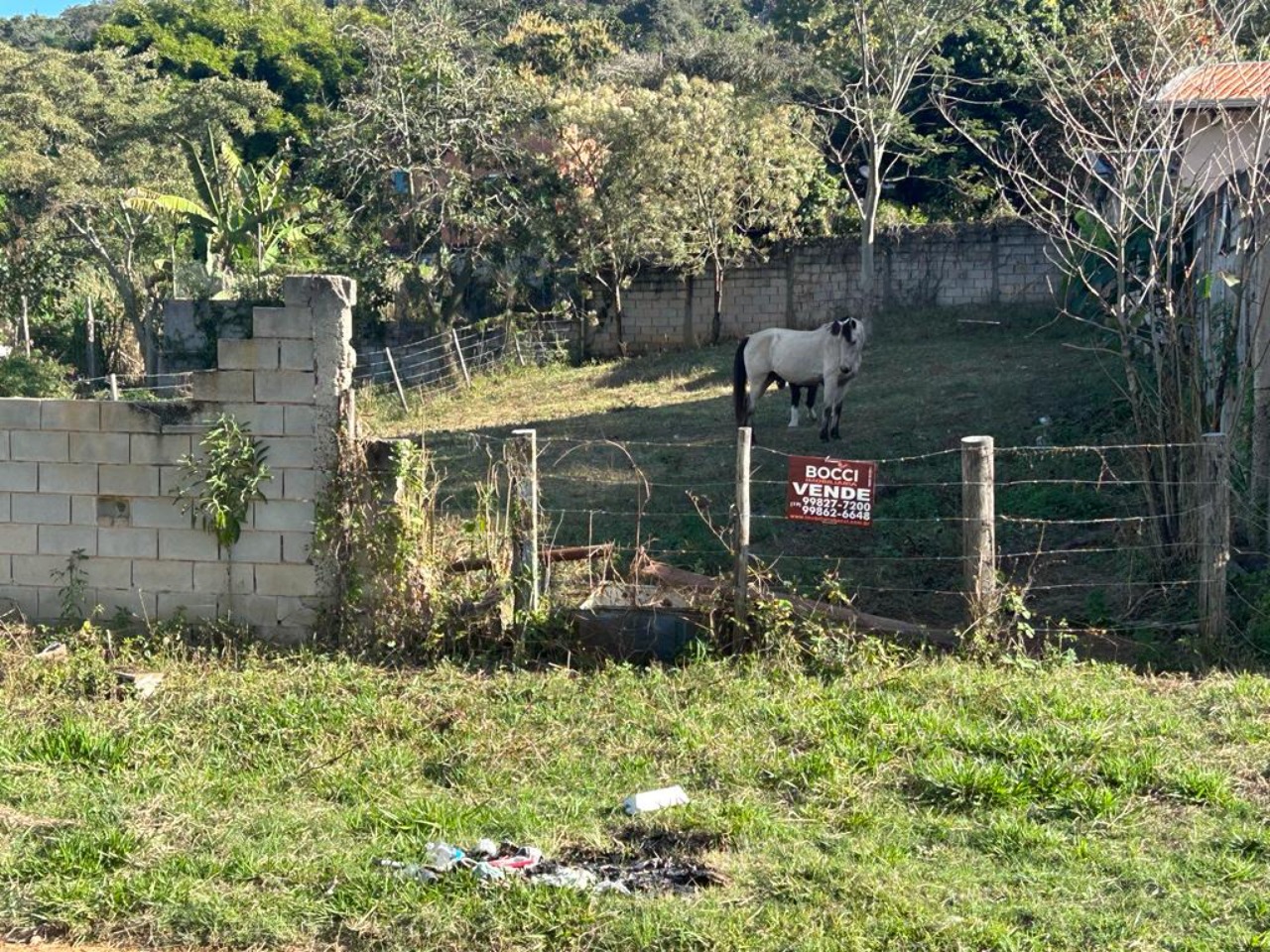 Terreno à venda - Foto 3