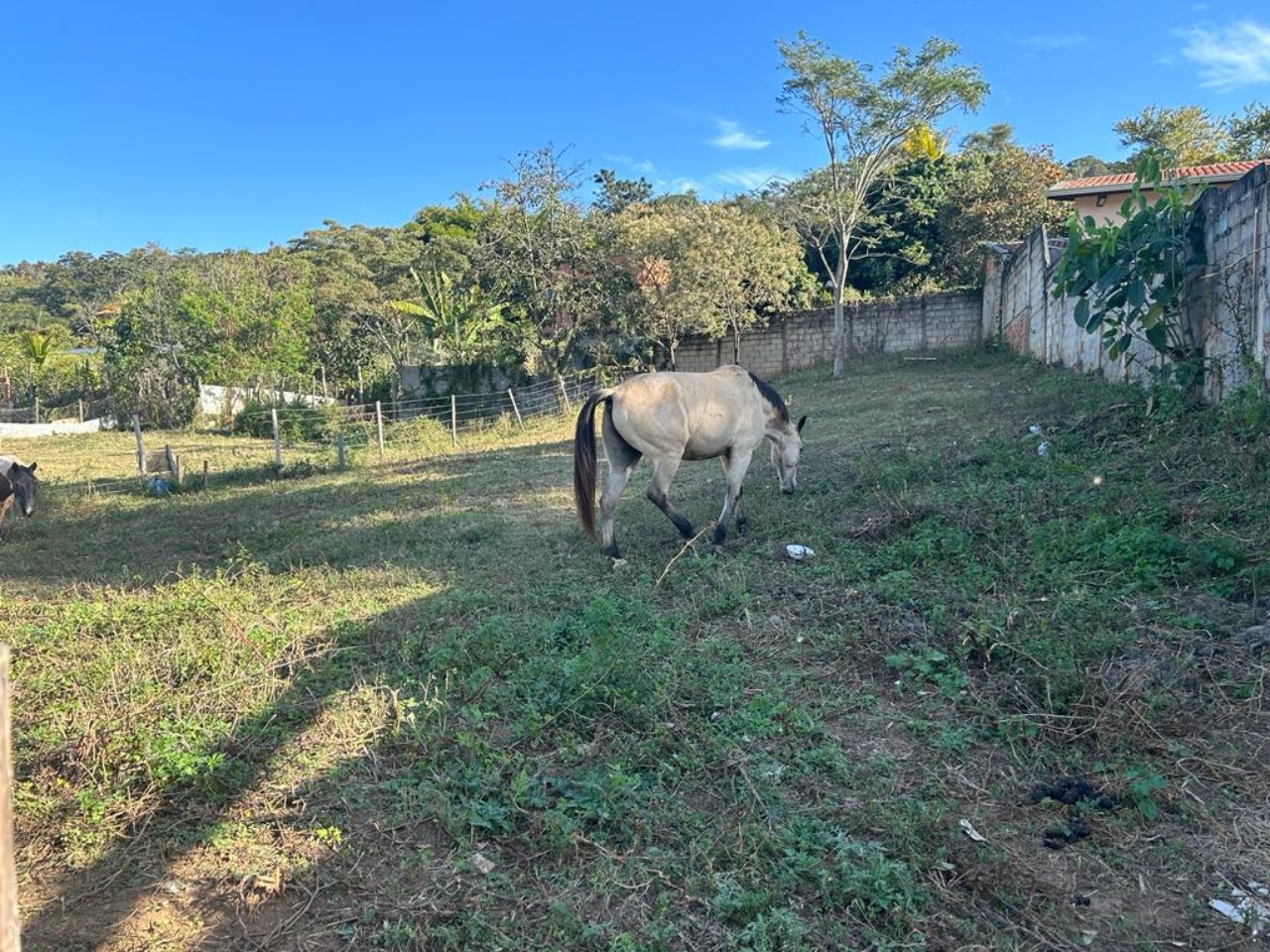 Terreno à venda - Foto 1