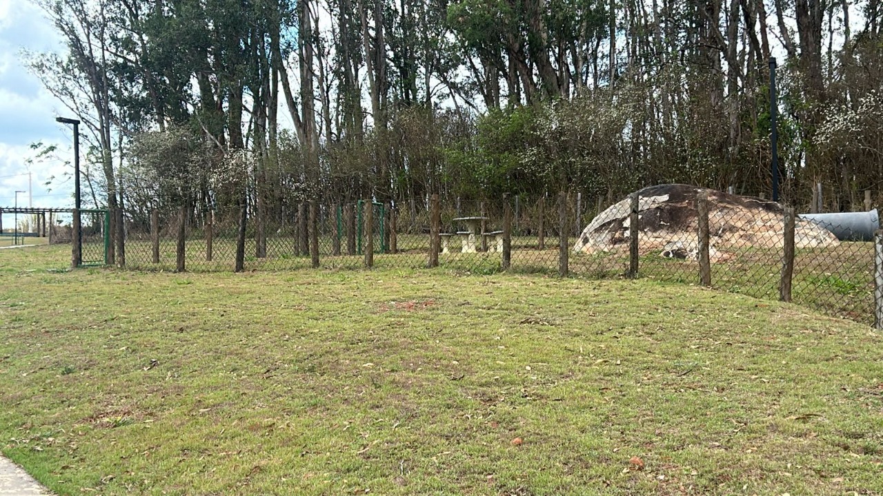 Terreno à venda, 250m² - Foto 3