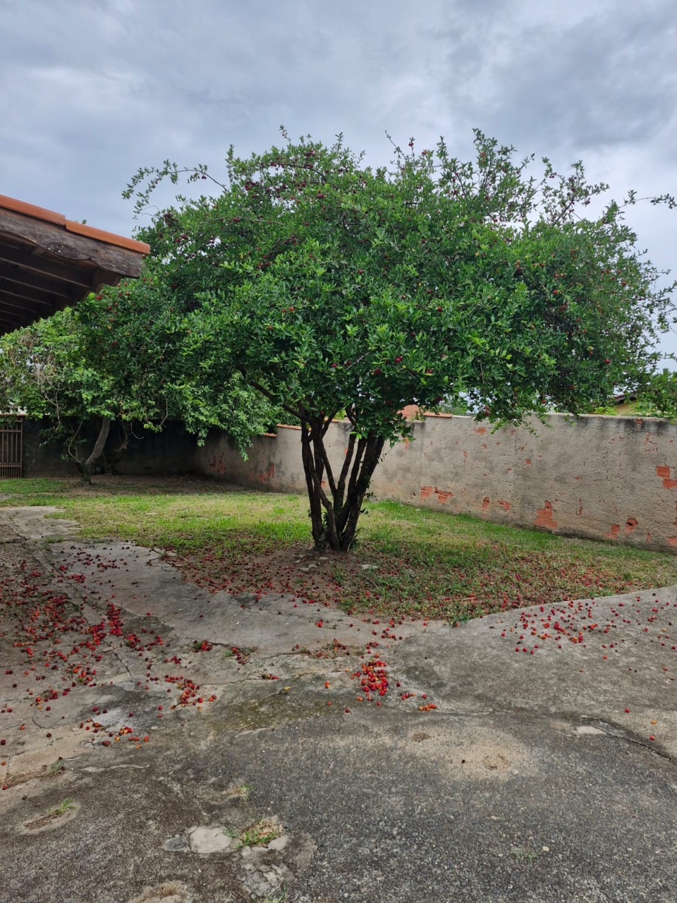 Casa à venda e aluguel com 4 quartos - Foto 6