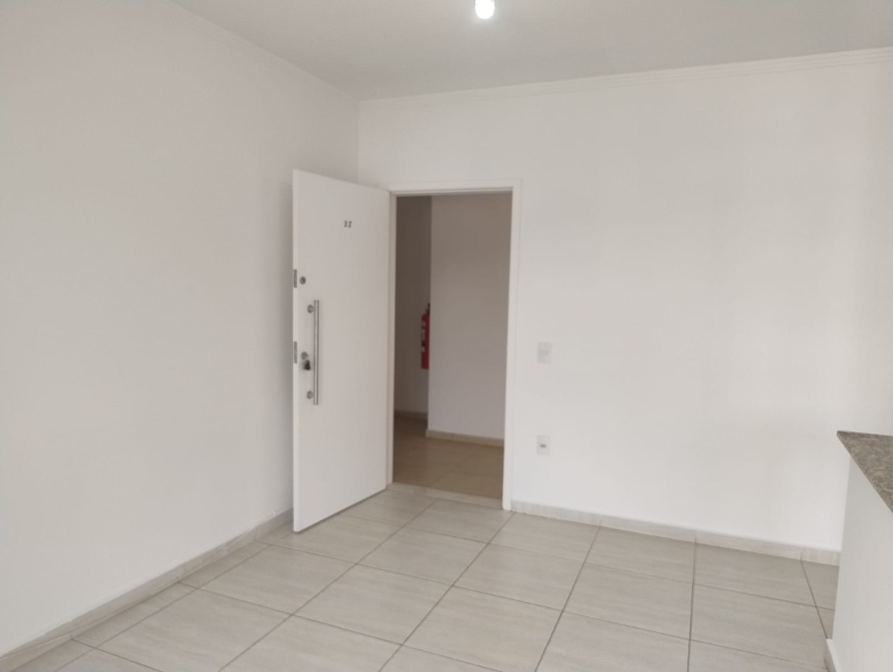 Apartamento para alugar com 2 quartos - Foto 11