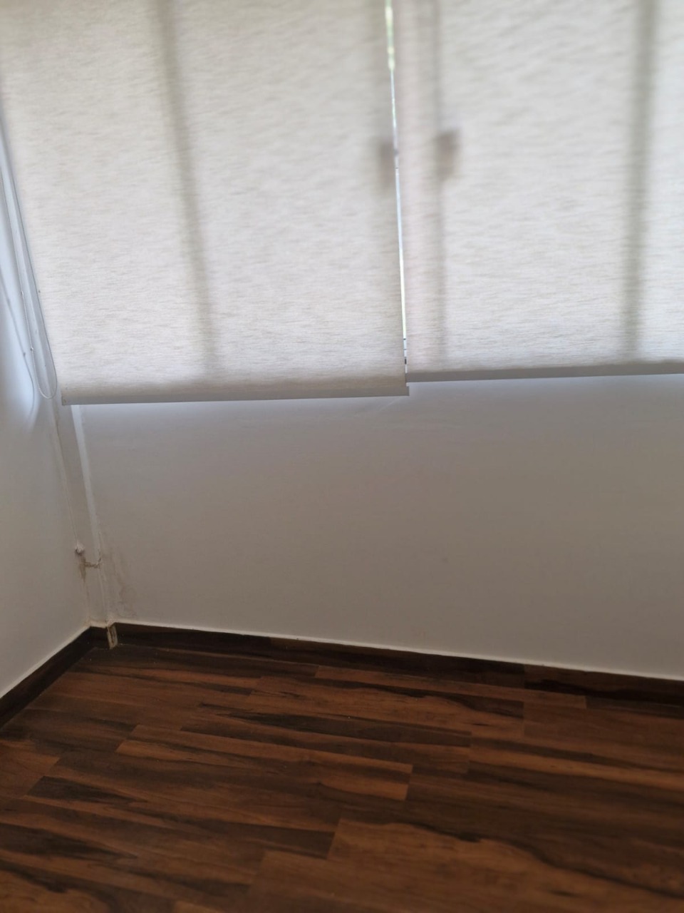 Casa, 2 quartos - Foto 31