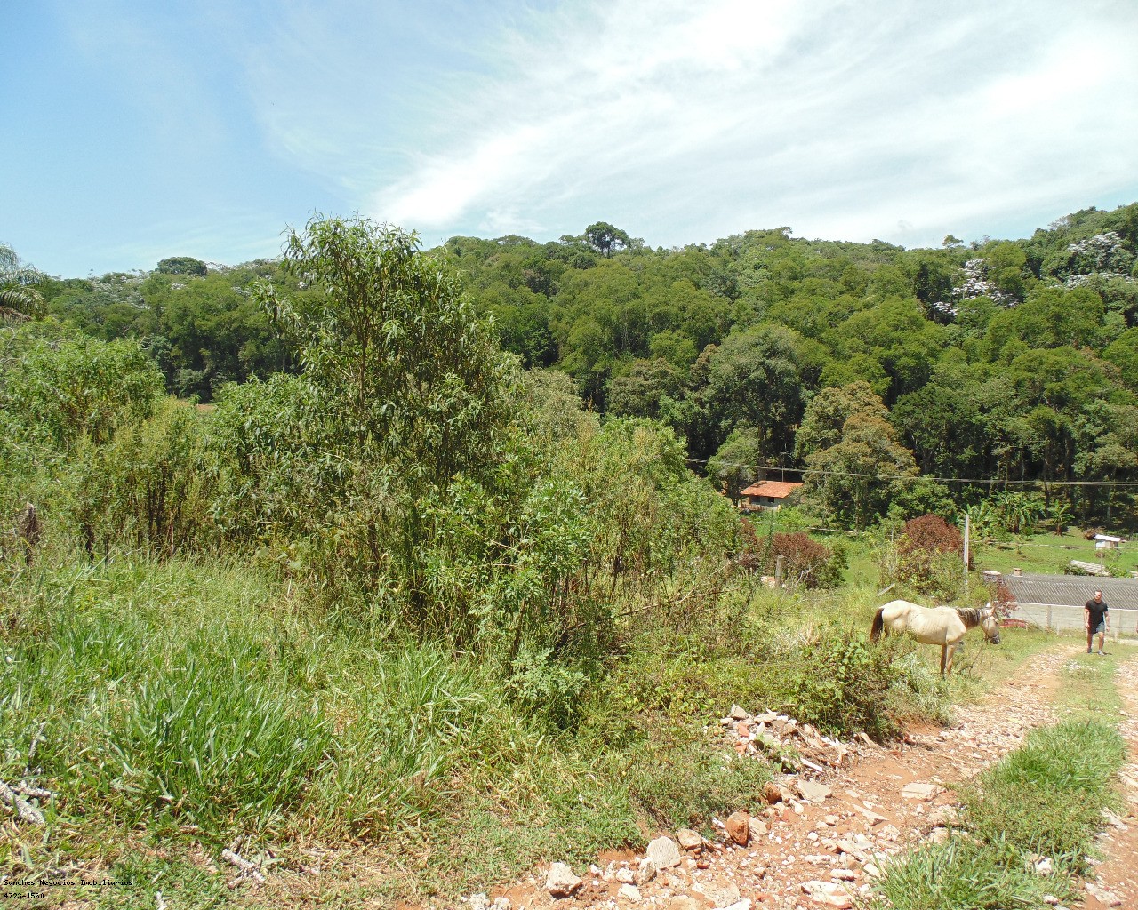 Terreno à venda - Foto 2