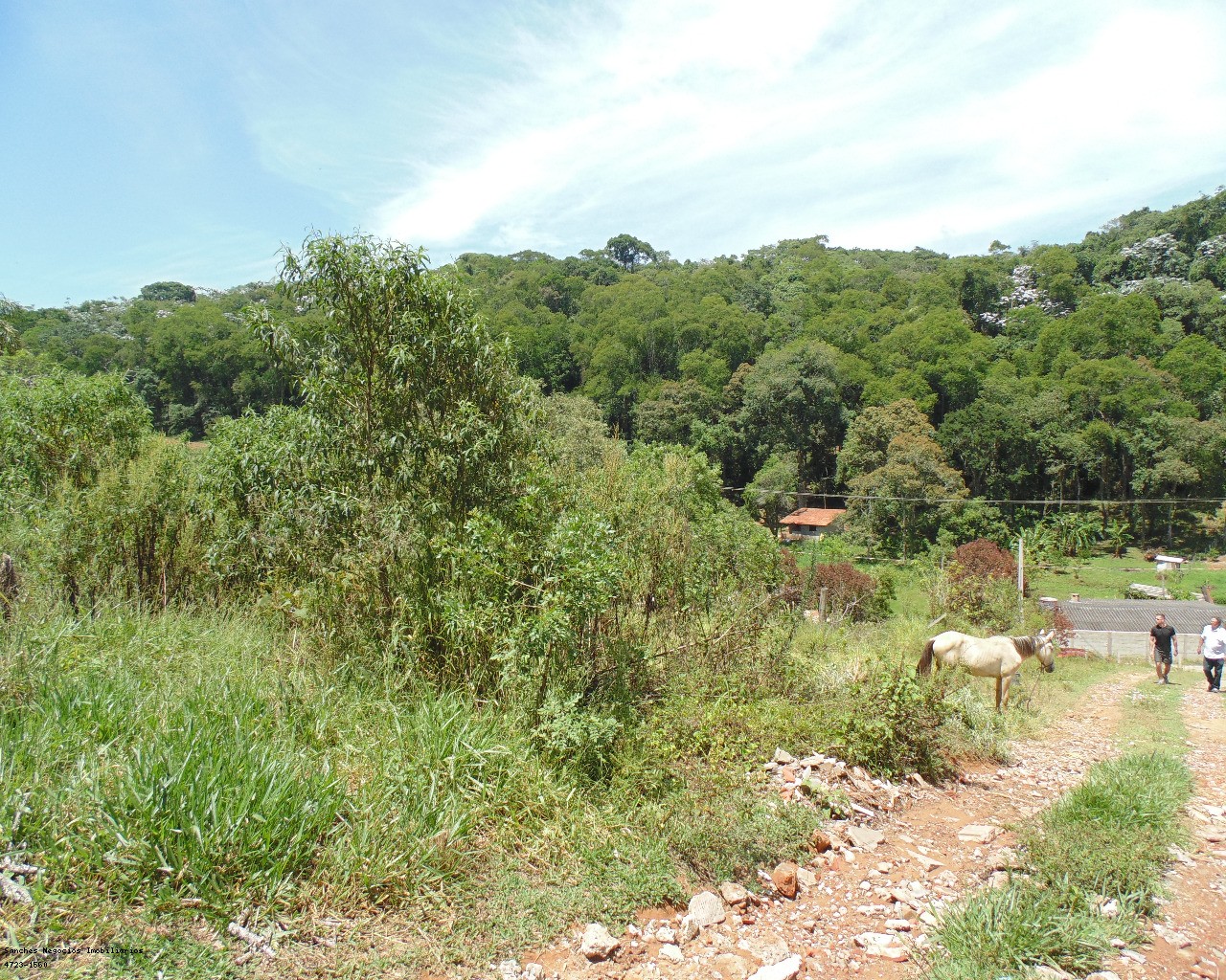 Terreno à venda - Foto 3