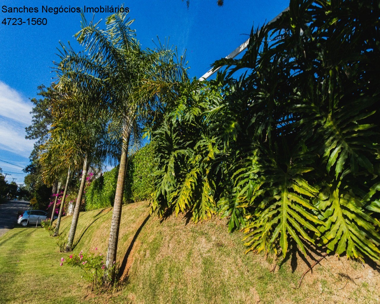 Casa de Condomínio à venda com 3 quartos, 200m² - Foto 61