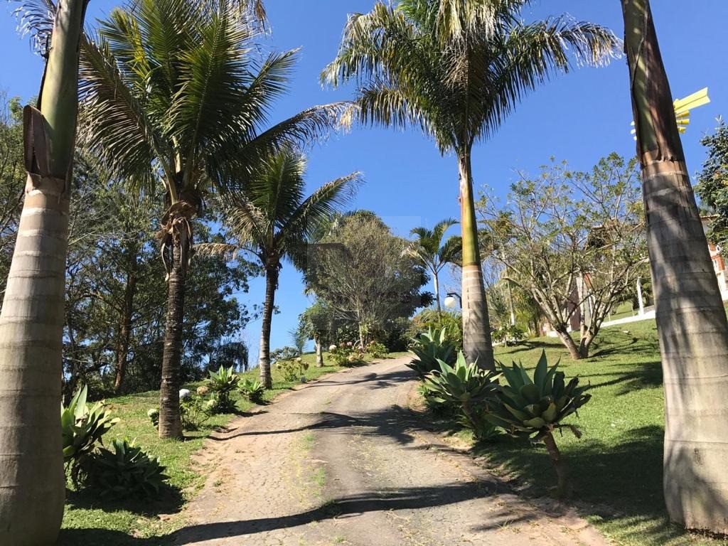 Casa à venda com 5 quartos - Foto 4