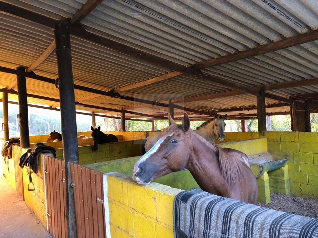 Chácara à venda com 4 quartos - Foto 41