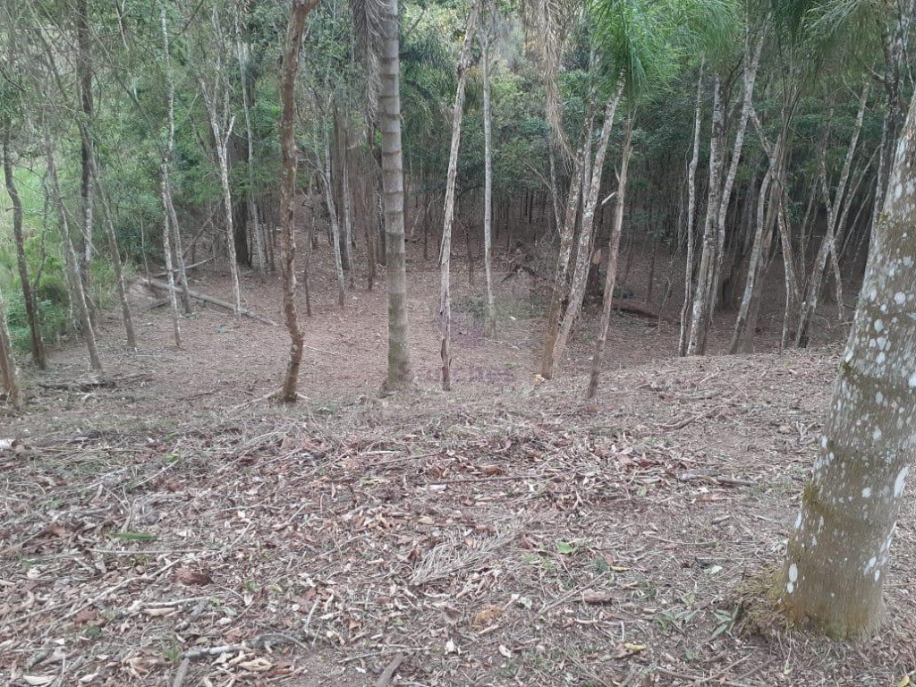 Terreno à venda, 5980m² - Foto 4