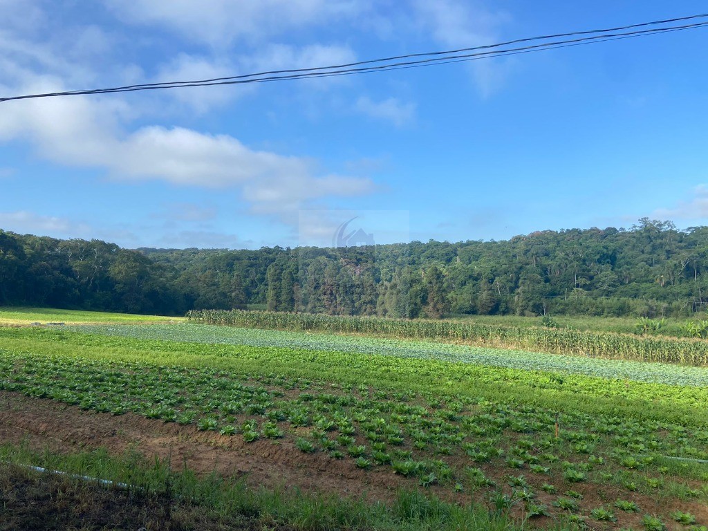 Terreno à venda - Foto 12