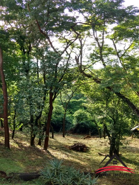 Fazenda à venda com 3 quartos, 300m² - Foto 12