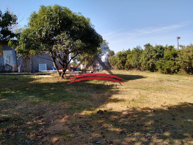 Fazenda à venda com 2 quartos, 4791m² - Foto 22