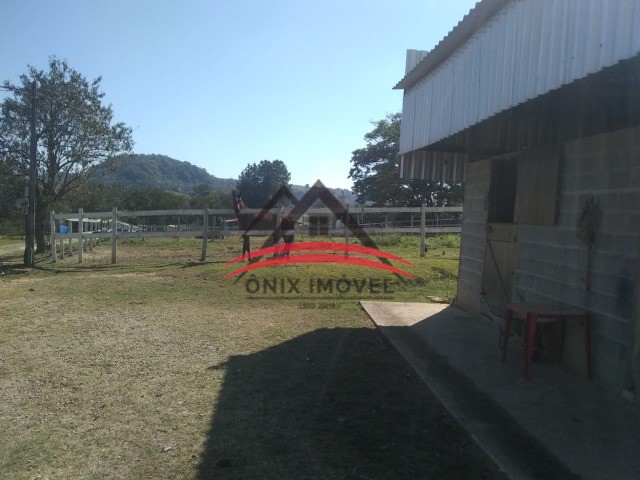 Haras e Área Rural Padrão à venda com 3 quartos, 24200m² - Foto 19