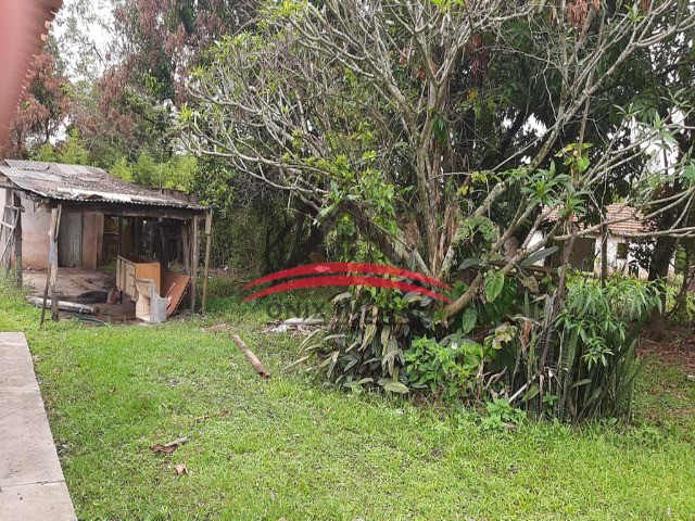 Fazenda à venda com 4 quartos, 24600m² - Foto 31