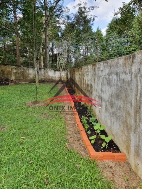 Fazenda à venda com 2 quartos, 5000m² - Foto 22