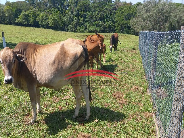 Chácara à venda com 3 quartos, 400m² - Foto 23