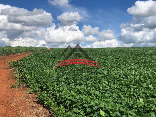 Loteamento e Condomínio à venda, 71000m² - Foto 2