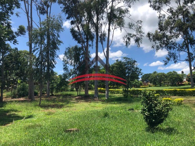 Fazenda à venda com 5 quartos, 20000m² - Foto 12