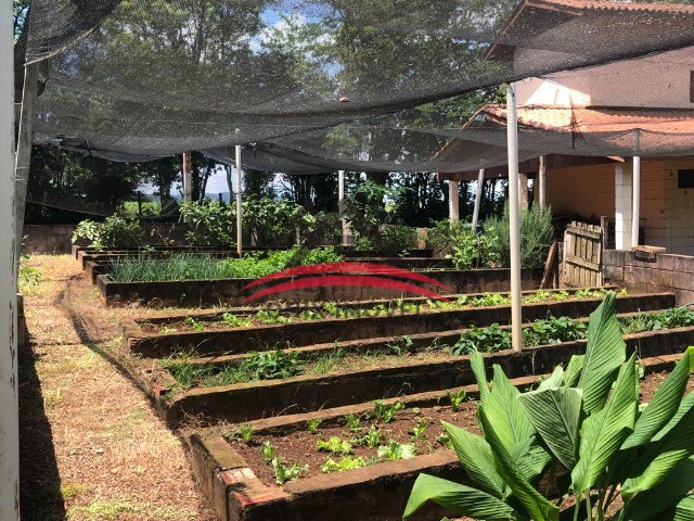 Fazenda à venda com 5 quartos, 20000m² - Foto 46