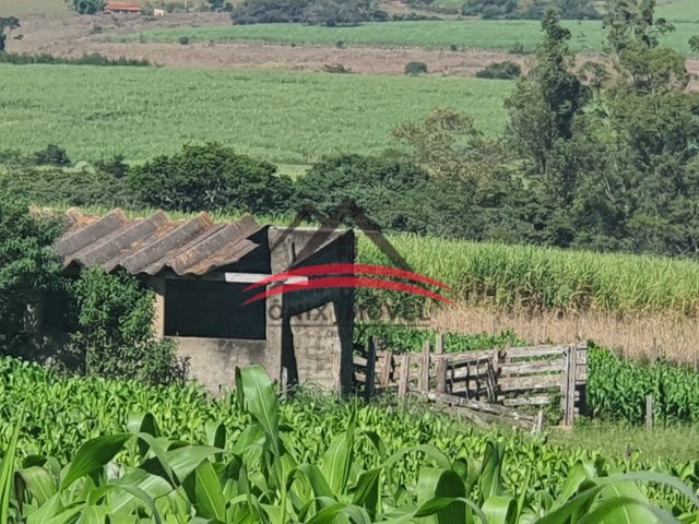 Fazenda à venda com 4 quartos - Foto 14