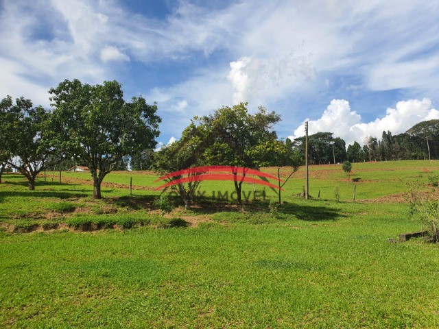 Fazenda à venda com 4 quartos - Foto 12