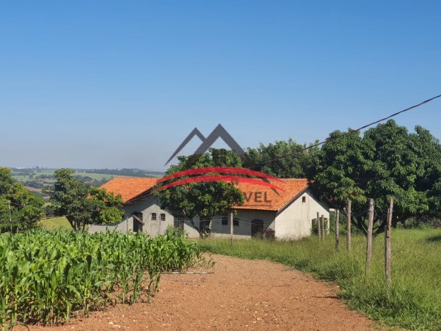 Fazenda à venda com 4 quartos - Foto 9