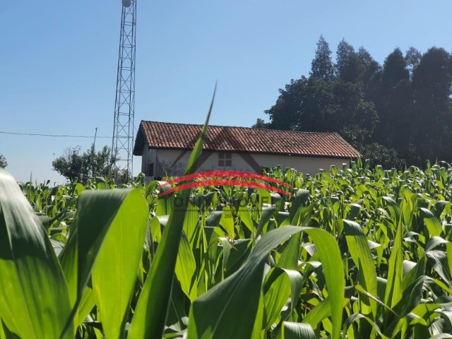 Fazenda à venda com 4 quartos - Foto 8