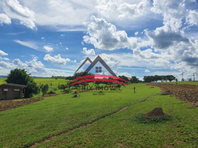 Fazenda à venda com 4 quartos - Foto 33