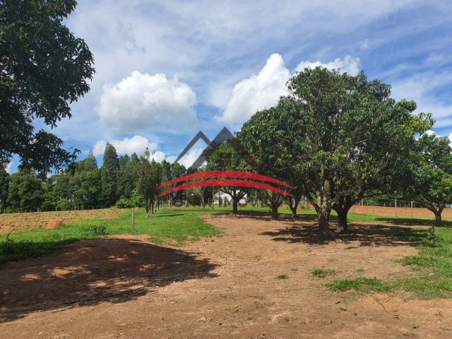 Fazenda à venda com 4 quartos - Foto 41